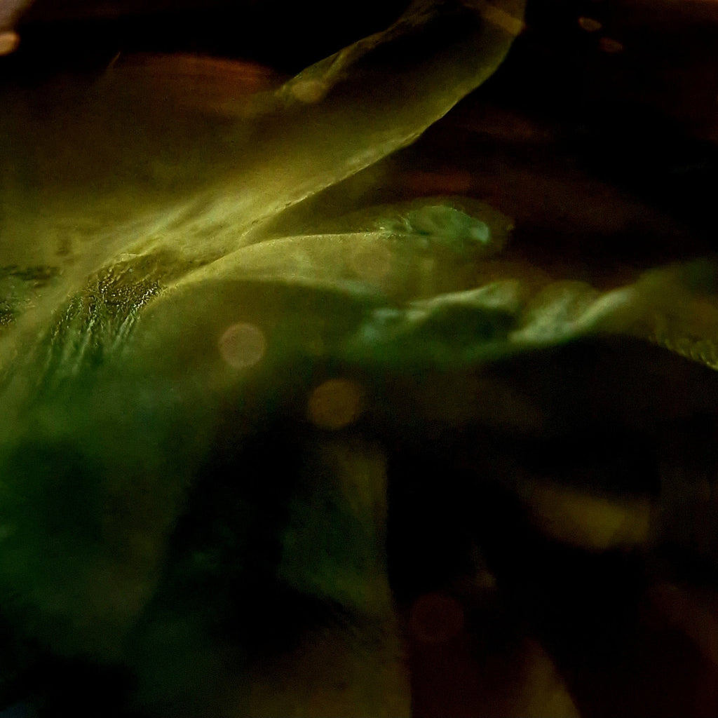 Verdant Obsidian - Character - Gems.art