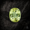 Verdant Pulse - Character - Gems.art
