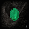 Verdant Tides - Character - Gems.art