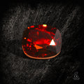 Vermilion Crown - Character - Gems.art
