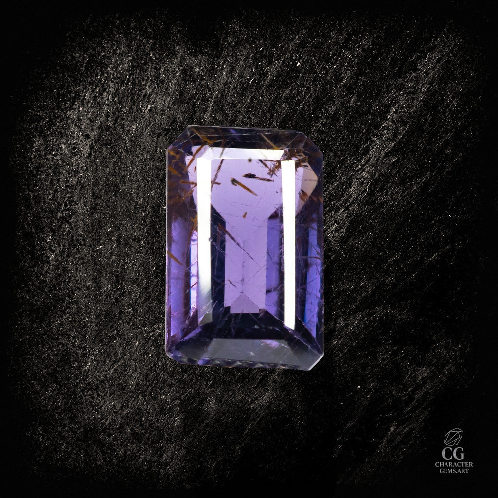 Violet Frame - Character - Gems.art